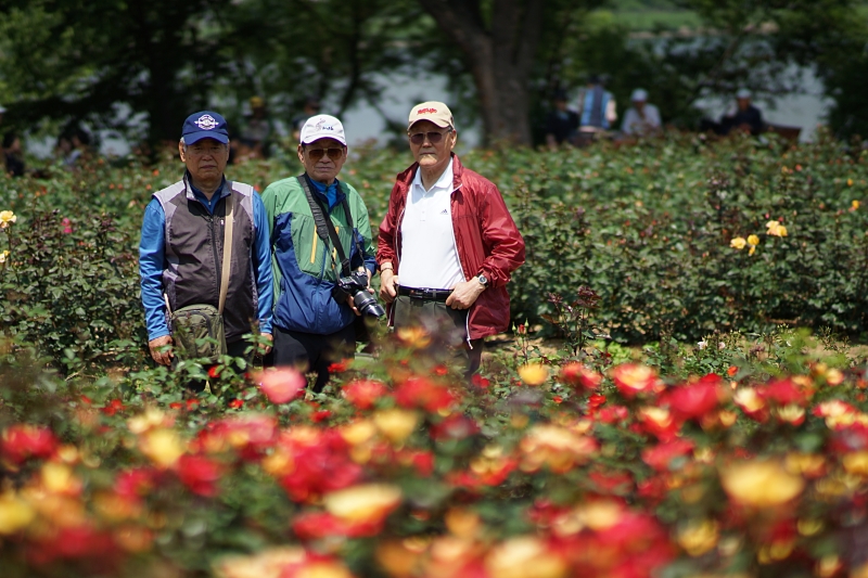 서 071.JPG