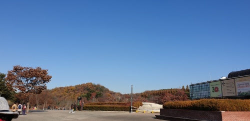 20191122_135113A.jpg