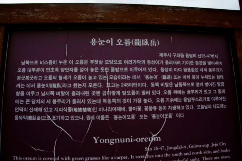꾸미기_꾸미기_AIMG_8428.jpg