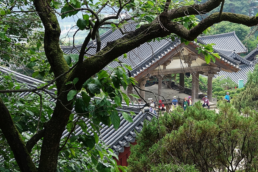 영주 048.JPG