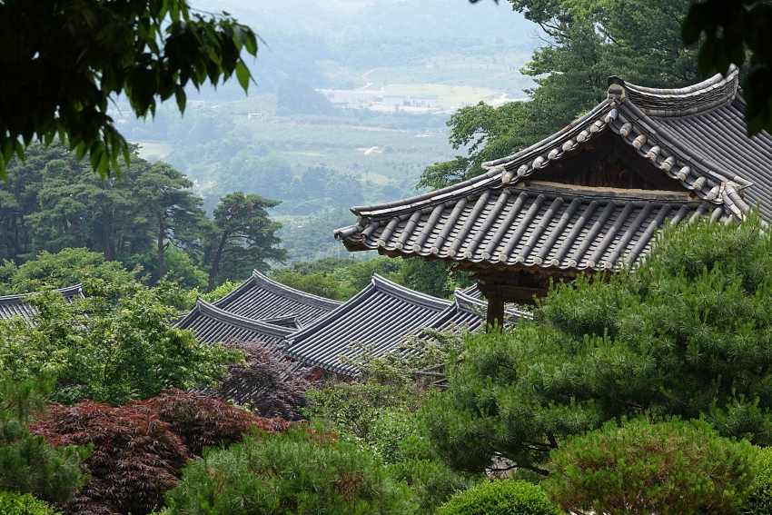 영주 050.JPG
