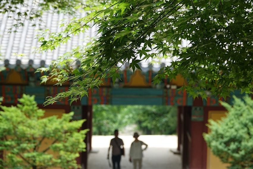 영주 033 0.JPG