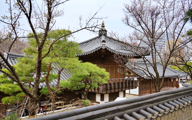 산 051.JPG