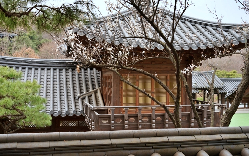 산 050.JPG