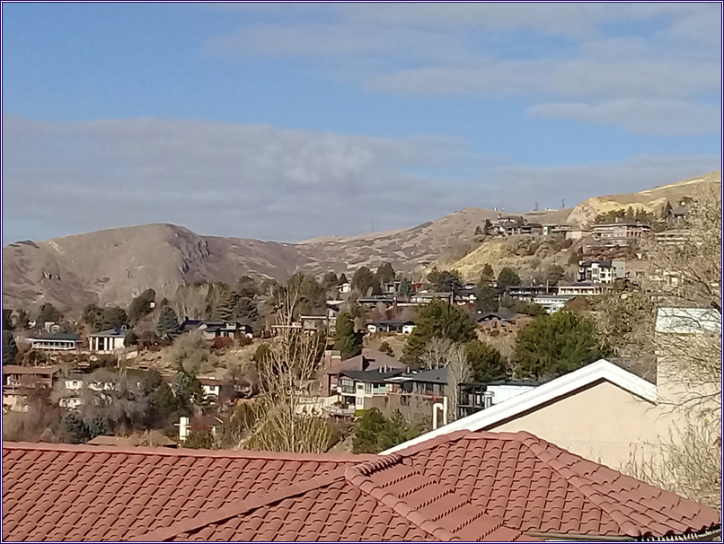 P01.jpg