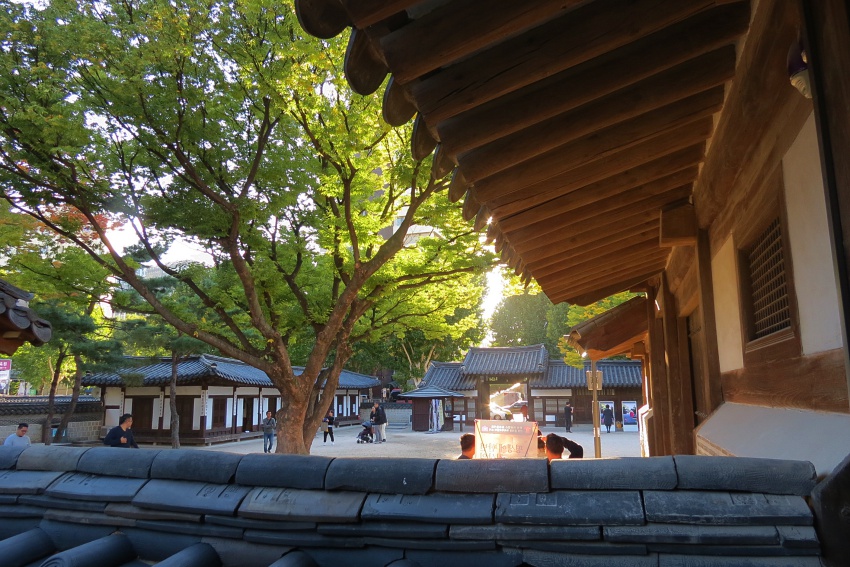 운 014.JPG