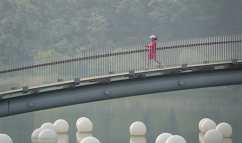 흰 0041 0.JPG