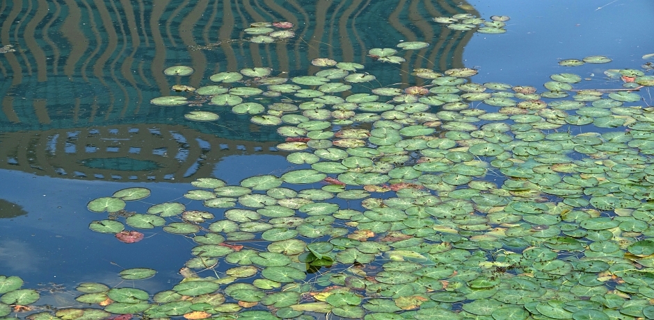 대 047.JPG