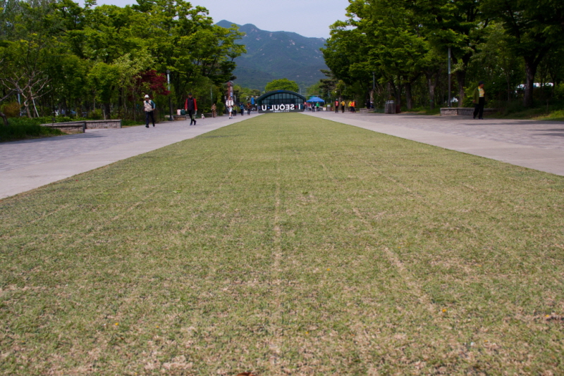 꾸미기_꾸미기_AIMG_0891.jpg