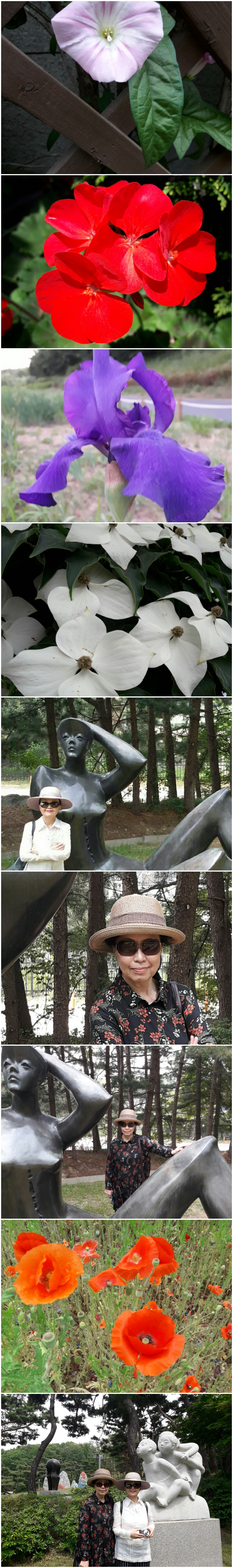 PhotoGrid_1496805183265.jpg