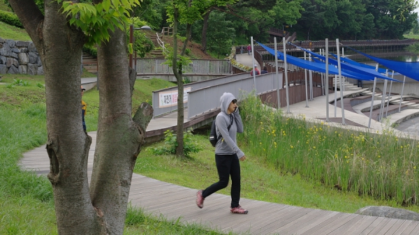 꽃길 037 0.JPG