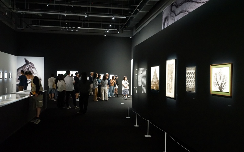 사 043.JPG