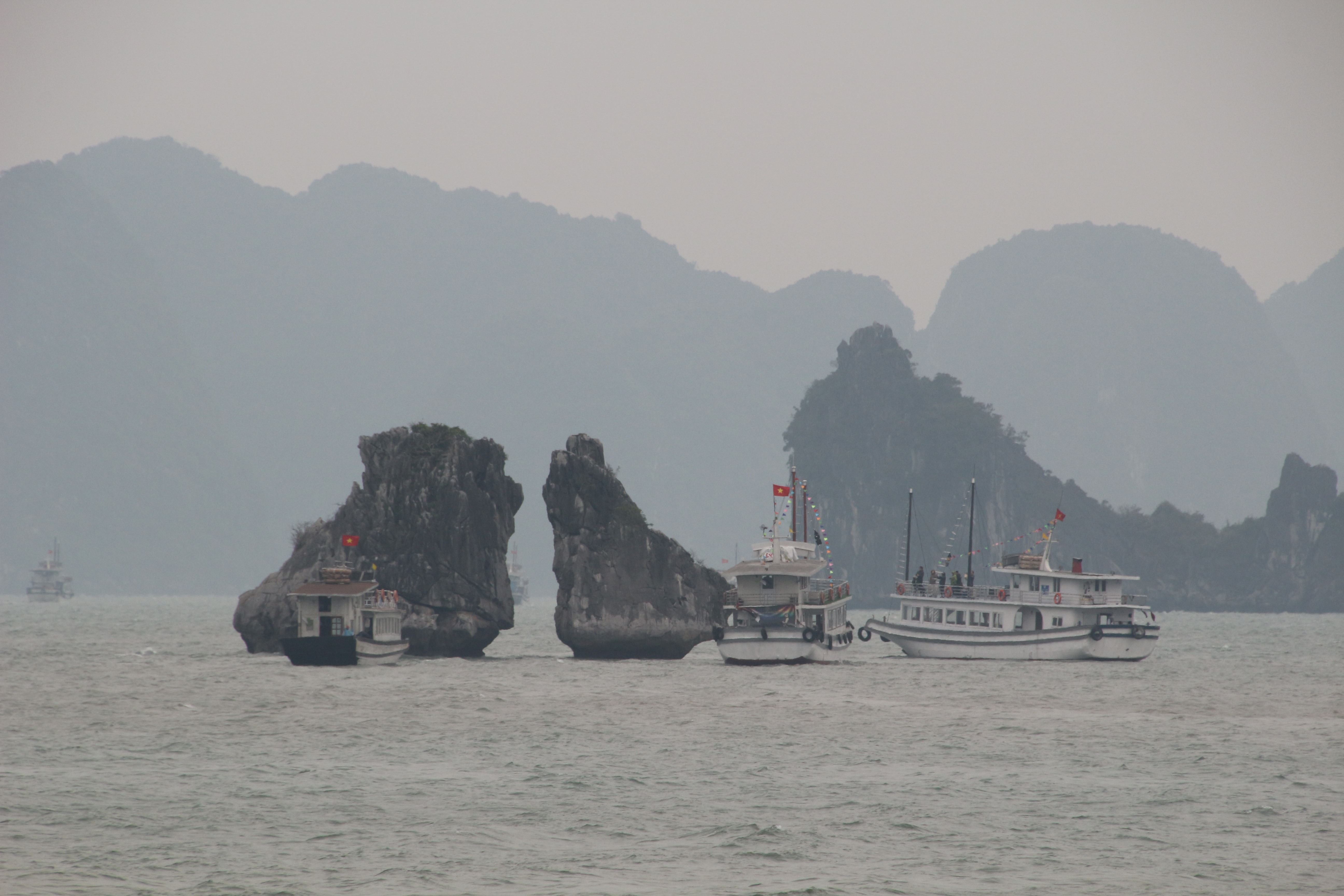 IMG_7497.JPG