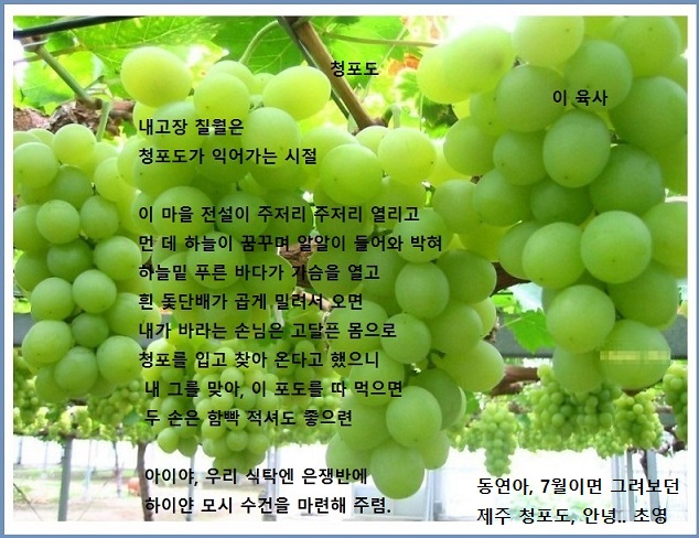 Green Grapes-otl -poem-80=dong Y.jpg