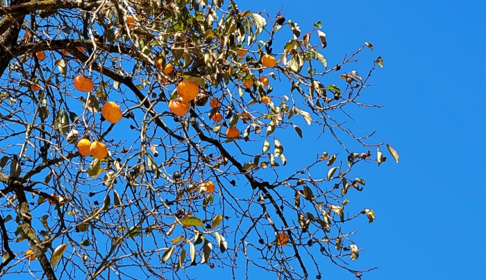 20211017_112934.jpg