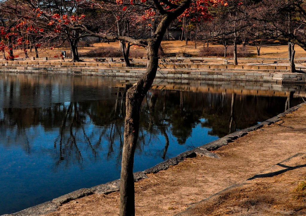 _DSC0151.jpg