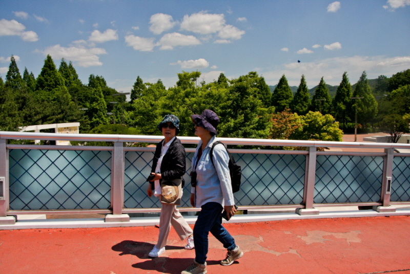꾸미기_꾸미기_AIMG_2590.jpg