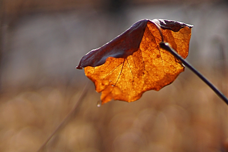 산 022.JPG