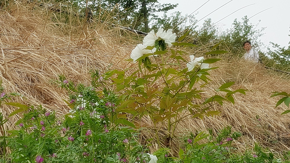 20170425_161941.jpg