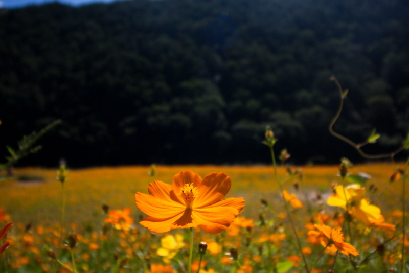 줄여서내보내기_줄여서내보내기_AIMG_6366.jpg
