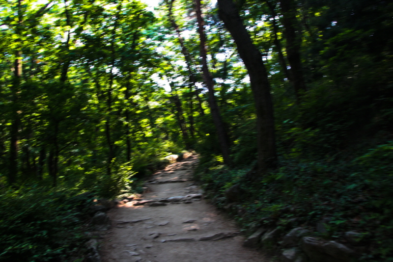 꾸미기_꾸미기_AIMG_2751.jpg