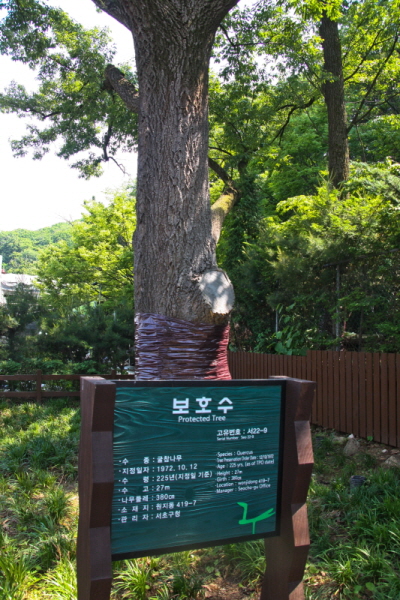 꾸미기_꾸미기_AIMG_2746.jpg