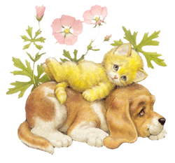 20050321beauty_0048.gif