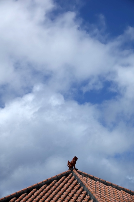 DSC01339.JPG
