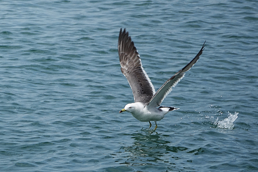DSC04666.JPG