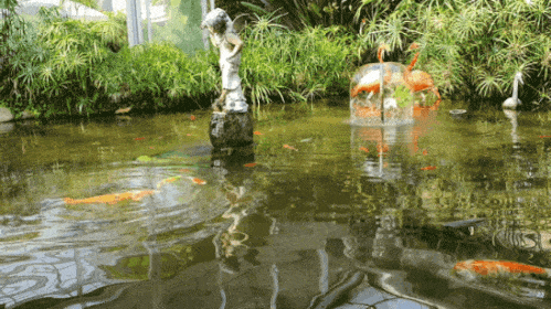 20191207_174302.gif