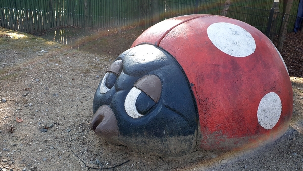 20191227_113343A.jpg