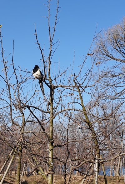 20191227_112824A.jpg