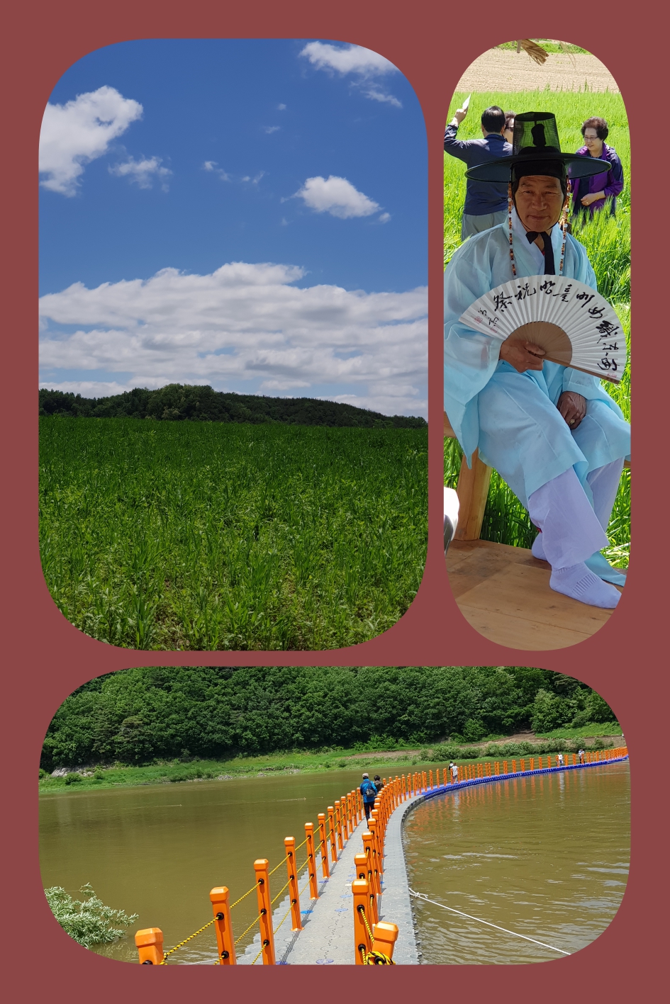 섬마을 보리밭 4.jpg