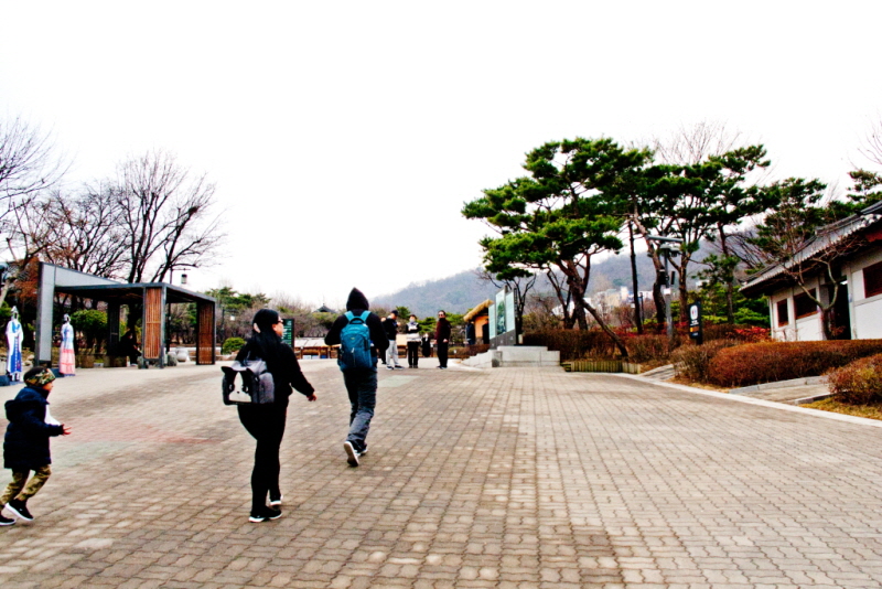 [꾸미기][꾸미기]20230308-IMG_3872.jpg
