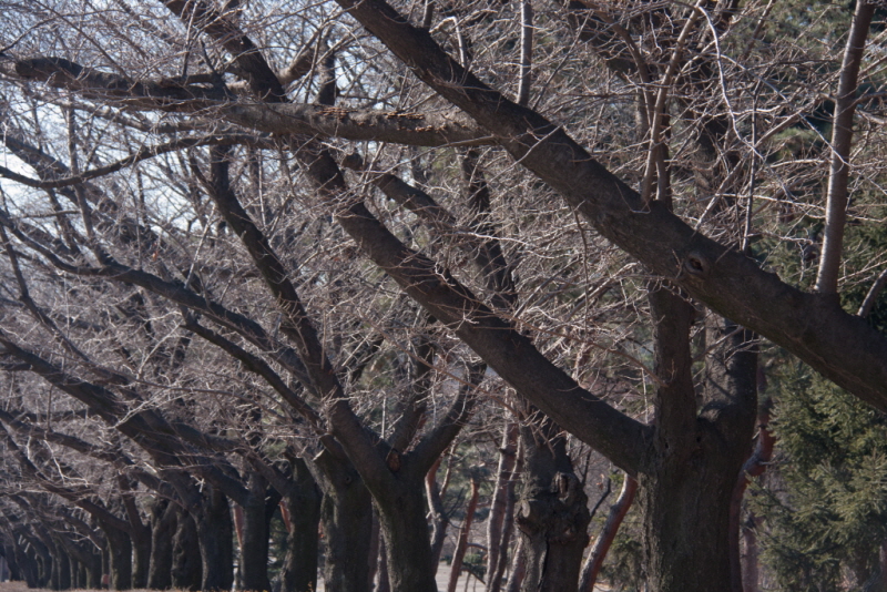 꾸미기_꾸미기_AIMG_7206.jpg