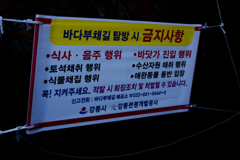 꾸미기_꾸미기_AIMG_5323.jpg