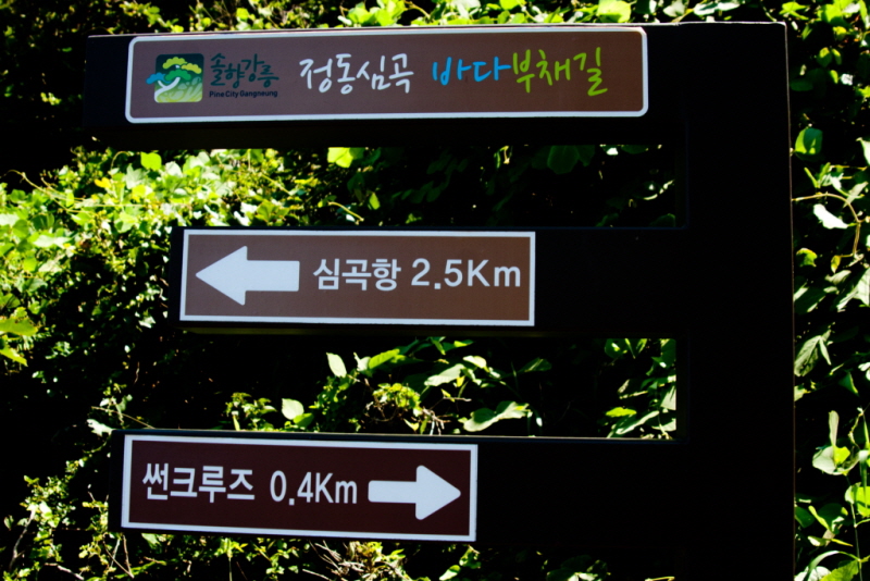 꾸미기_꾸미기_AIMG_5354.jpg