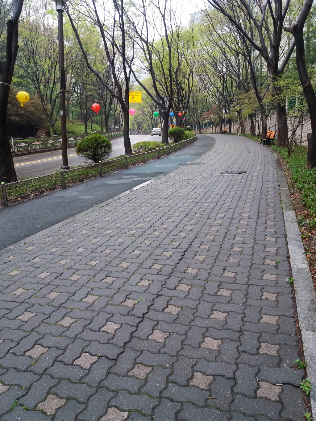 20170417_125527[1].jpg