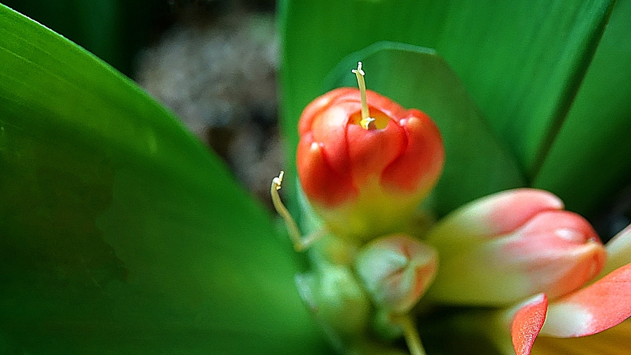 DSC09806 0.JPG