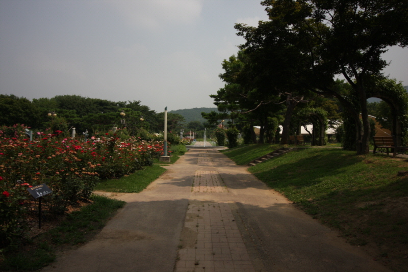 꾸미기_꾸미기_IMG_2256.JPG
