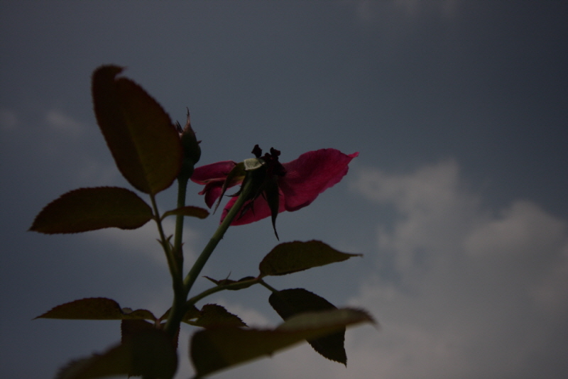 꾸미기_꾸미기_IMG_2281.JPG