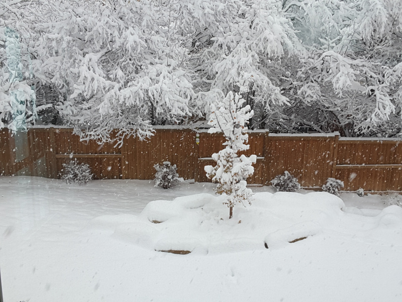 20191128_094208.jpg