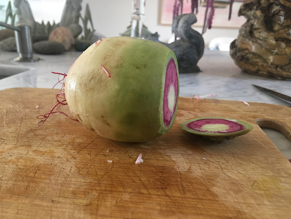 2,Chiggia Beet 2018 V1.w.jpg