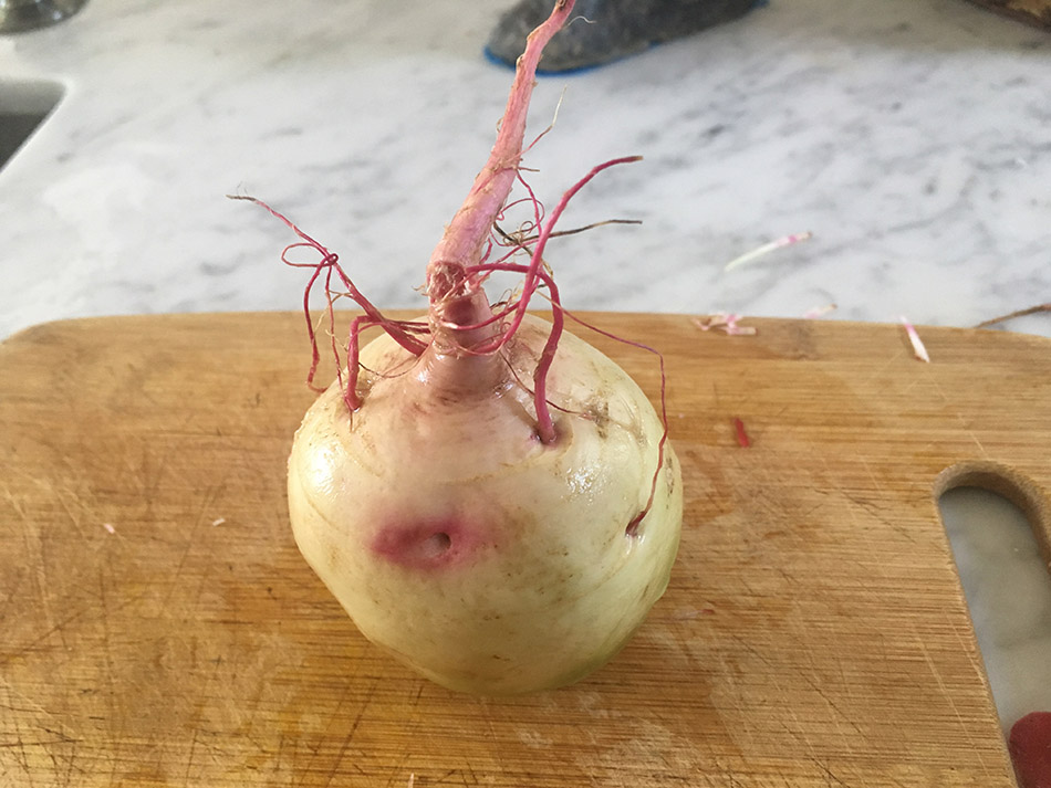 2 Chiggia Beet  2018 w.jpg