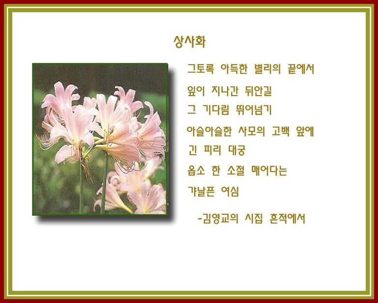 1575713658370.png