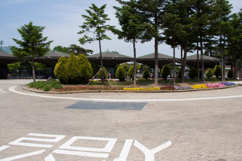꾸미기_꾸미기_AIMG_0973.jpg