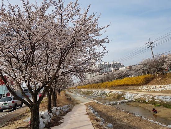 20190409_080506.jpg