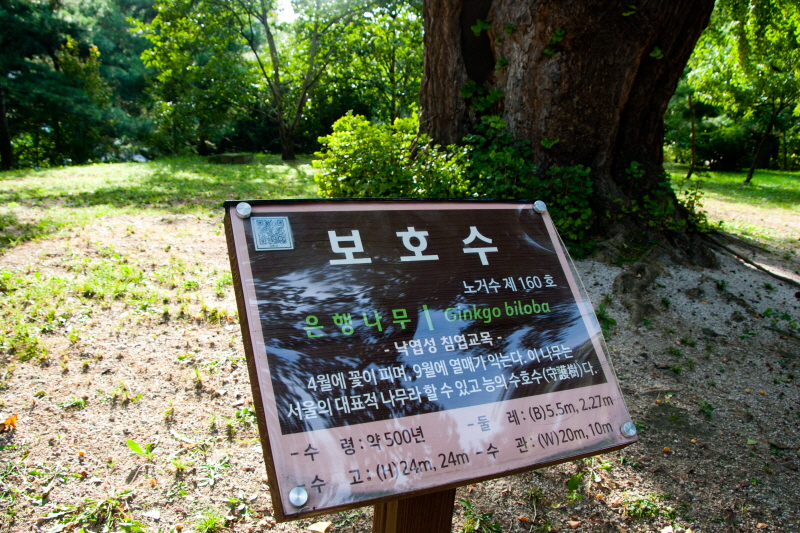 줄여서내보내기_AIMG_7425.jpg