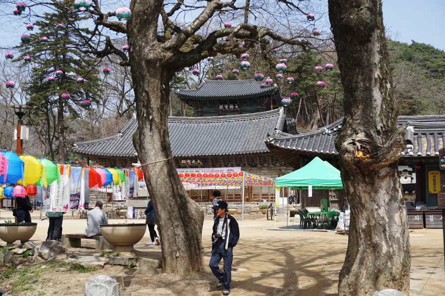 170412- (13).JPG