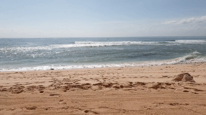 at_Bali_beach1.gif